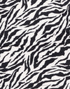 Zebra anni '90