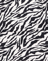 Zebra anni '90