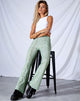 Immagine del pantalone Devan in coccodrillo lime
