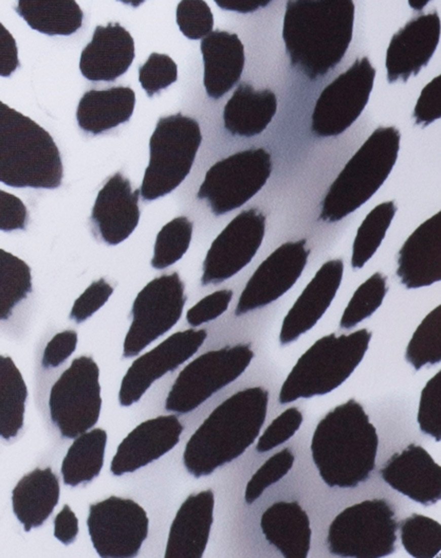 Immagine di Lien Bikini Bottom in Dalmata