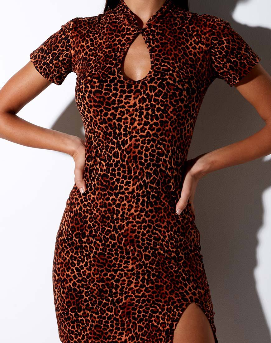Immagine di Marlin Bodycon Dress in Ditsy Leopard Orange