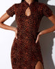 Immagine di Marlin Bodycon Dress in Ditsy Leopard Orange