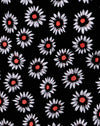 DanzanteDaisy