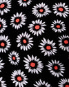 DanzanteDaisy