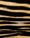 Zip Zebra Brown