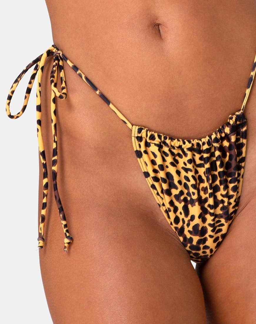 Immagine di Leyna Bikini Bottom in Golden Cheetah