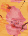  Orchidea sfocata Pesca
