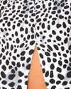 Dalmata