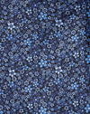 Giardino fiorito blu