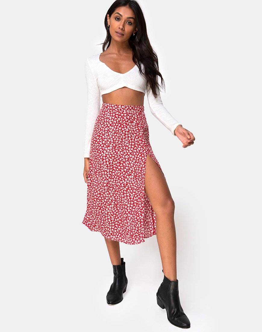 Immagine di Saika Gonna in Ditsy Rose Rosso Argento