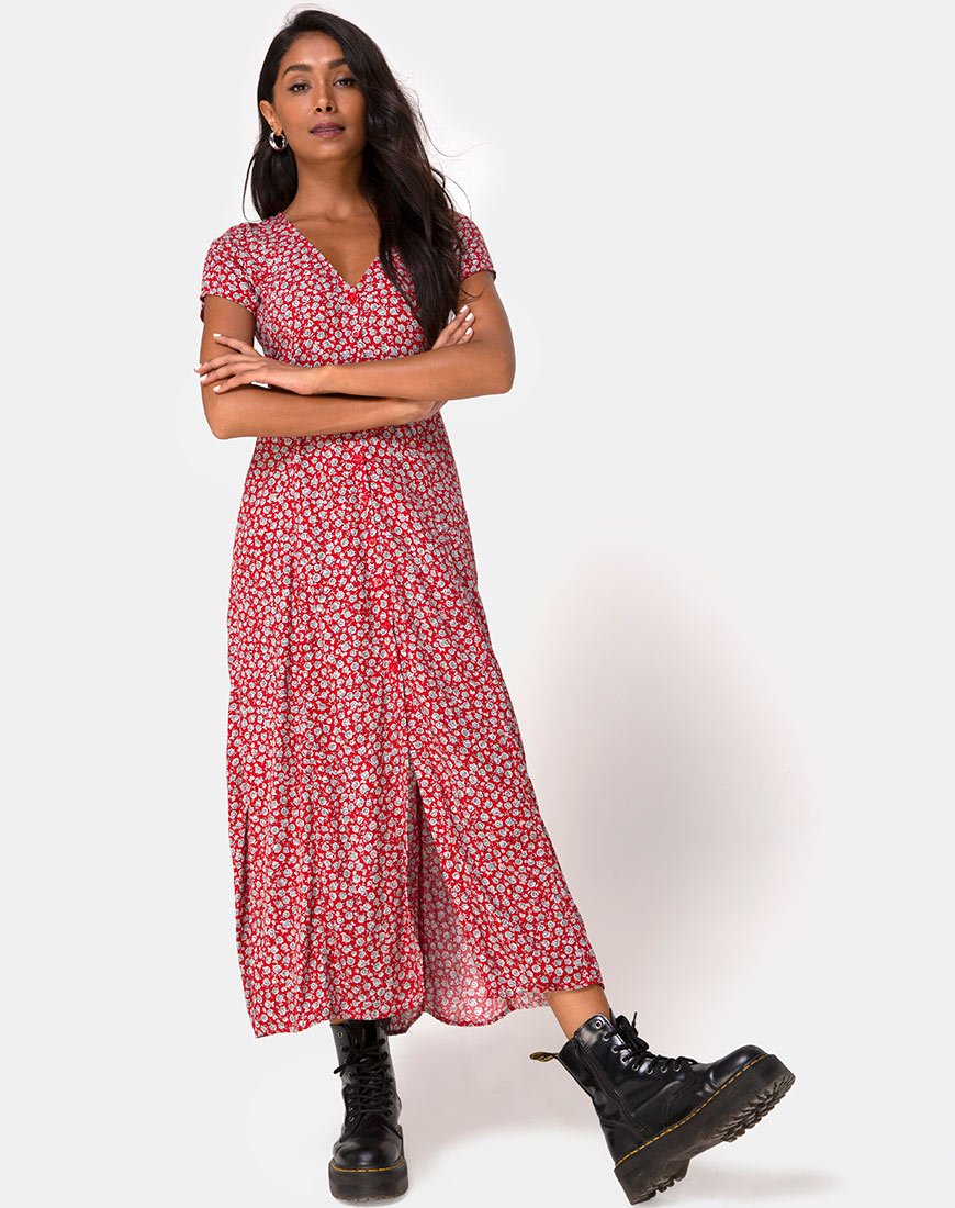 Abito Sanrin in argento rosso rosa ditsy