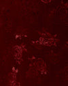 Raso Rosa Gelso