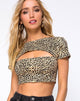 Immagine di Shim Cutout Crop Top in Rar Leopard