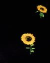 Girasole ditsy