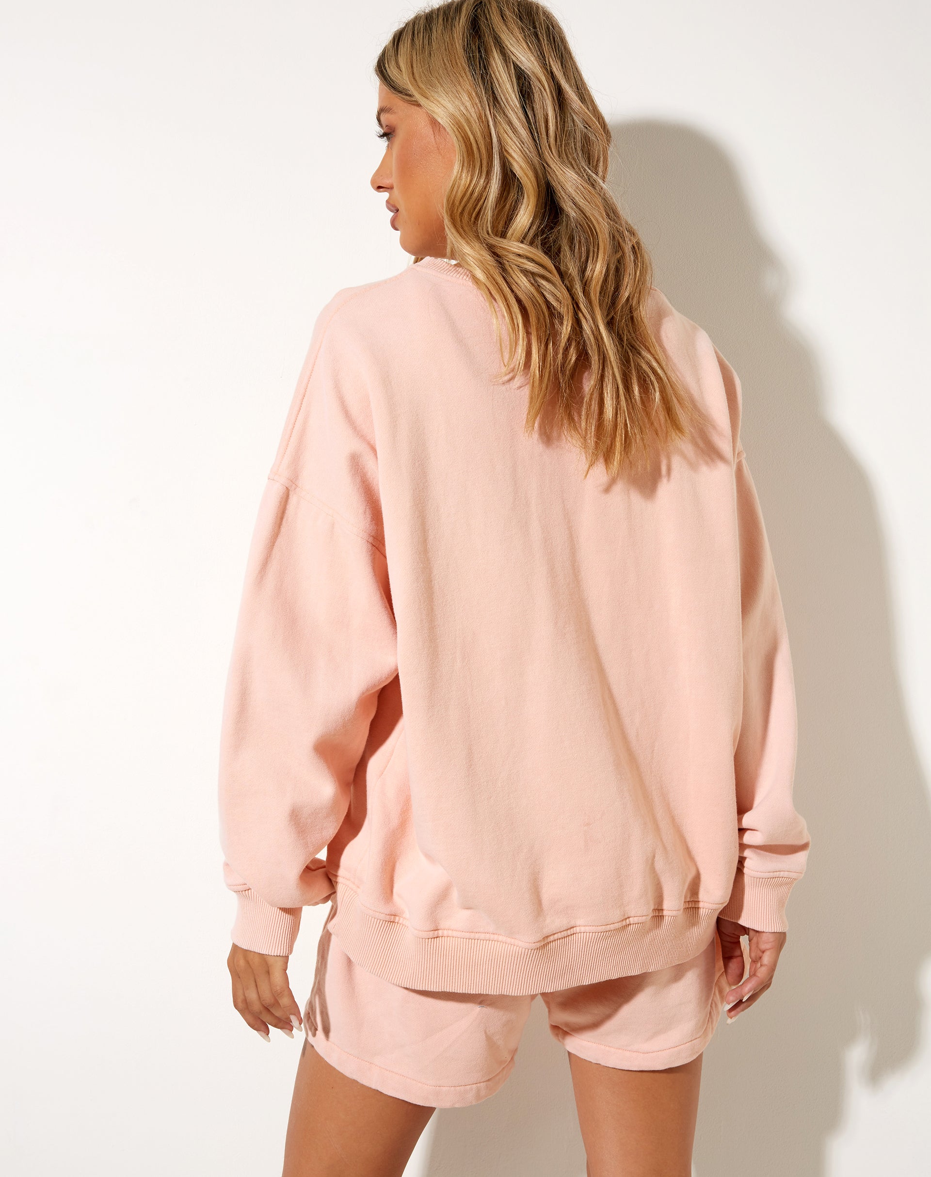 Immagine di Ted Felpa in Wash Out Peach Mushroom