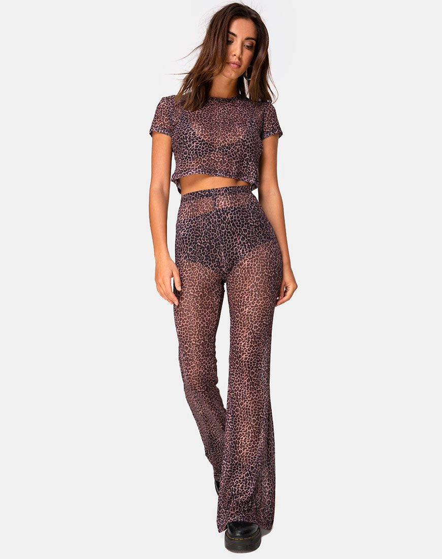 Immagine di Herlom Pantalone svasato in maglia leopardata Rar