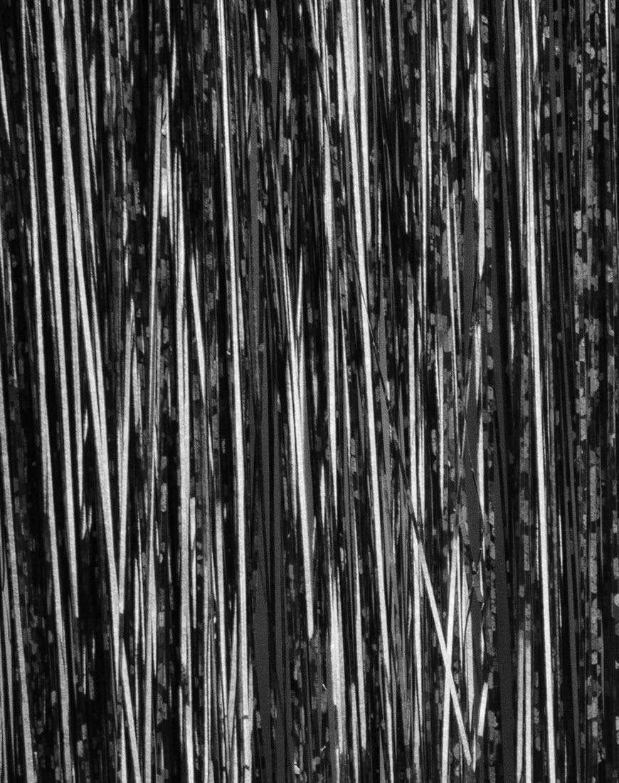 Extension per capelli con orpelli neri di Shrine