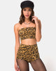 Immagine di Hilly High Waist Hot Pant in Leopard