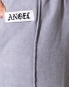 Etichetta con logo Angel Wash grigio