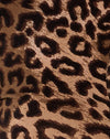 Leopardo notturno marrone