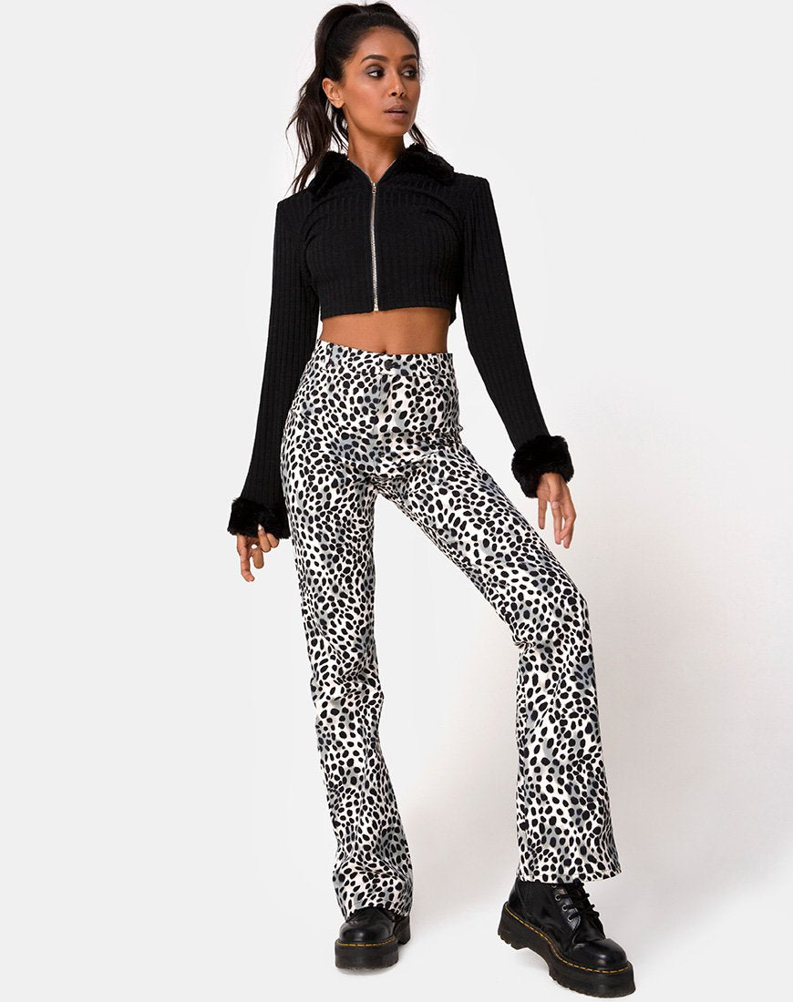 Immagine di Zoven Pantalone in dalmata