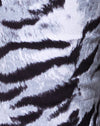 Tigre Argento Pieno Posizionamento