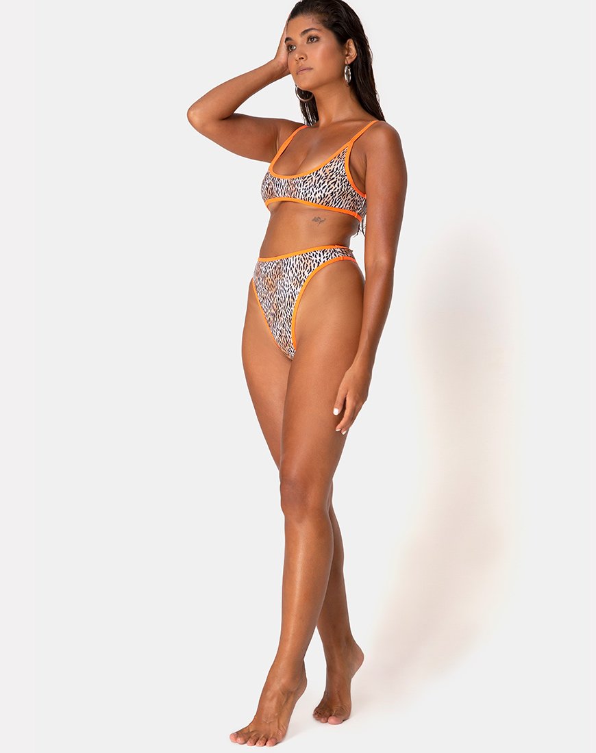 Slip bikini Sikila in mini tigre con legature arancioni