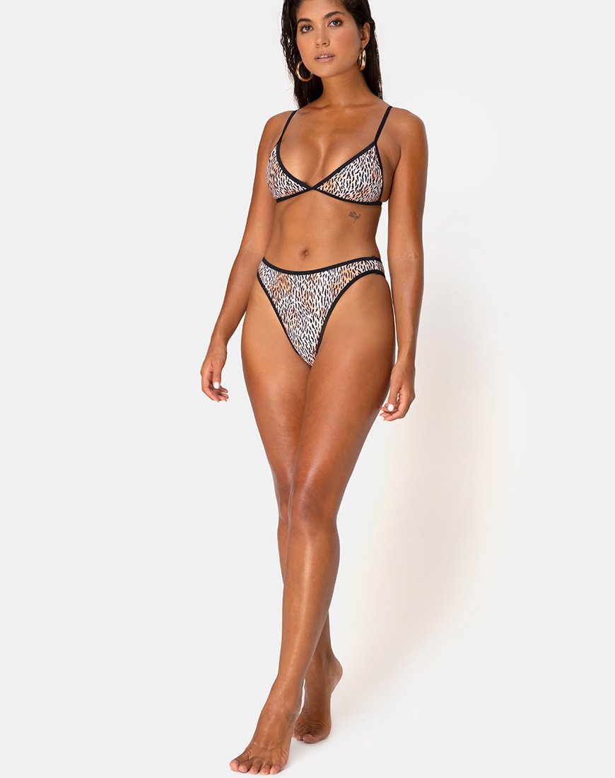 Immagine di Varna Bikini Top in mini tigre con bande nere